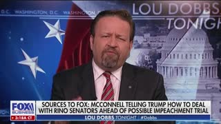 "#WheresLindseyGraham?" Sebastian Gorka takes on the absent majority leader