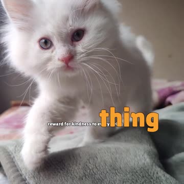 There is reward for kindness...