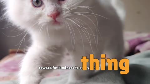 There is reward for kindness...