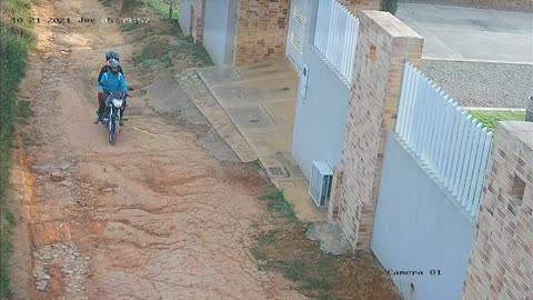 Robo de mascota