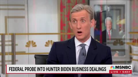 MSNBC Panel On Hunter Biden: Participated In A “Conflict, He Shouldn’t Have Done It”