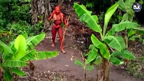 The real story #the north sentinel Island#India