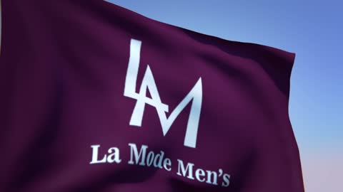 La Mode Men's What do you think?