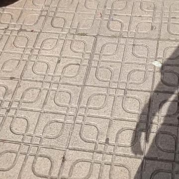 Baldosas Flotantes de Badajoz (Extremadura, España)