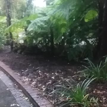 19.9.2024 Amazing (2)