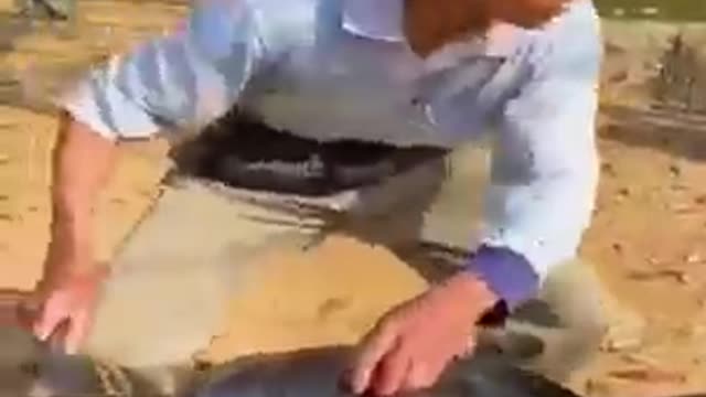 Very Funny Video