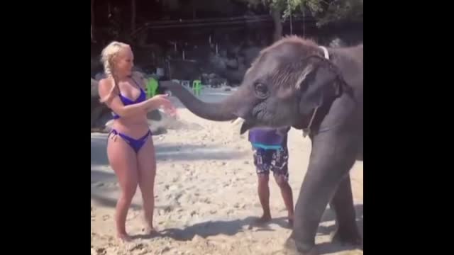 Girl play Elephant