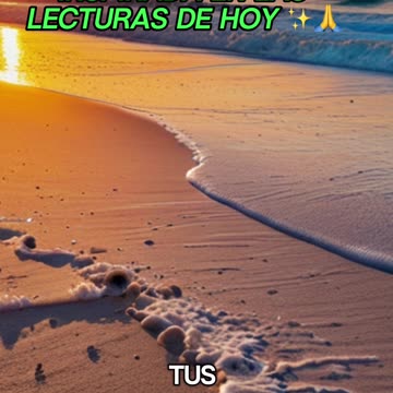🙏✨Oración Inspirada en las Lecturas de Hoy ✨🙏