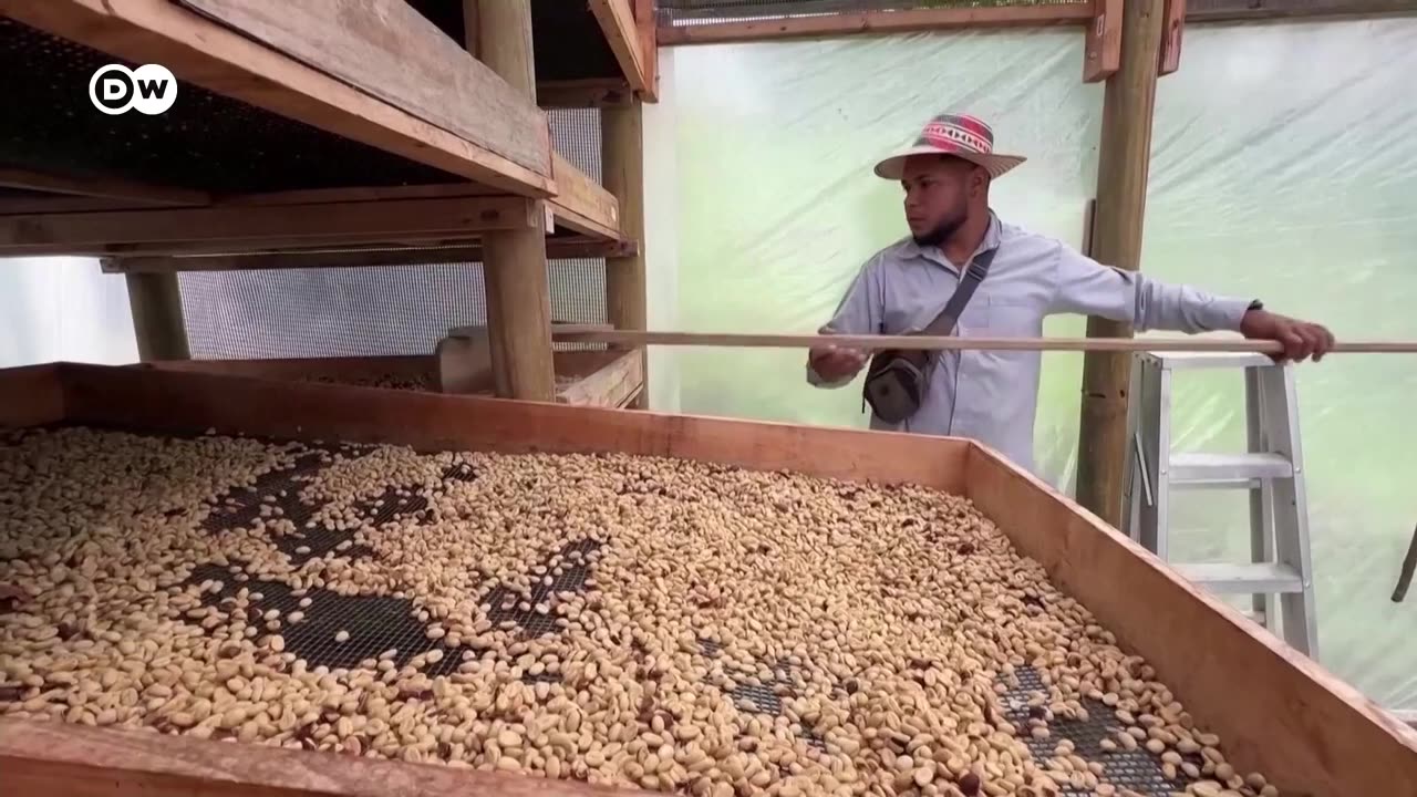 El café en Colombia vive su mejor momento