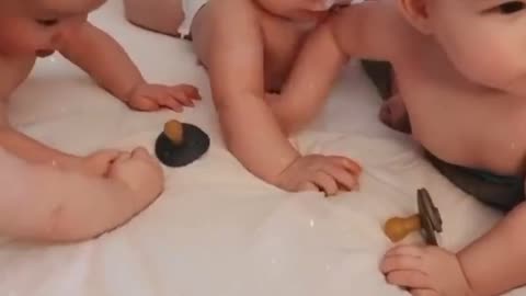 Battle Between Cute Babies