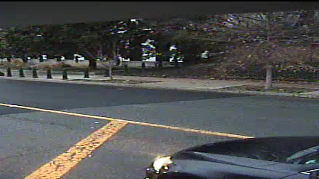 0792KIO00K42nd-ConNE_2021-01-05_16h44min15s677ms.mp4