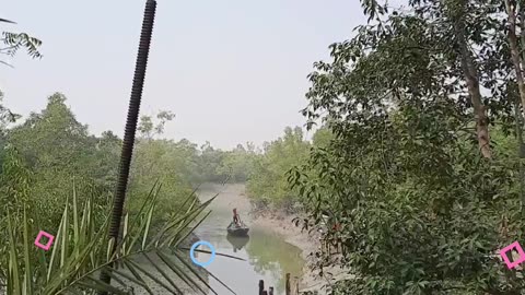 Welcome to my Another Village Jharkhali, Sundarban || # #myvillagelifestyle #realvillagelifestyle