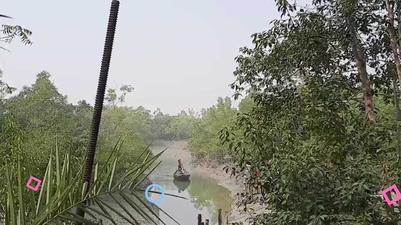 Welcome to my Another Village Jharkhali, Sundarban || # #myvillagelifestyle #realvillagelifestyle