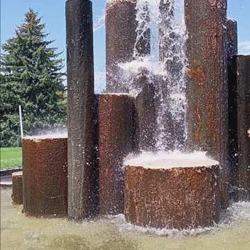 Our pet dogs playing in the fountain