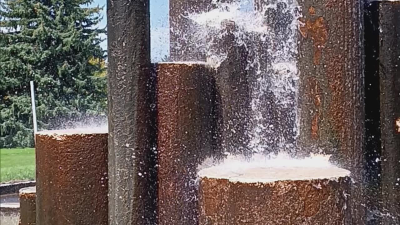 Our pet dogs playing in the fountain