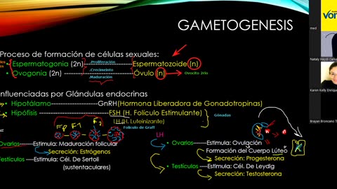 VONEX ANUAL 2022 | Semana 13 | Biología