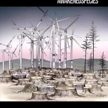 Thinking that our country can run on breezes is worse than delusional