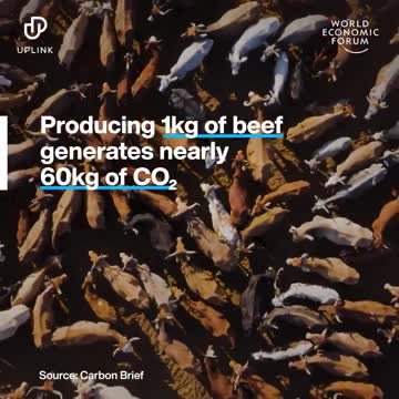 3D Beef - Could it be the reason real beef becomes magnetic?