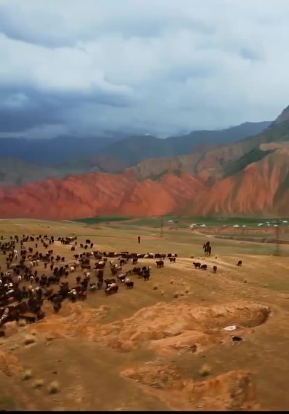 Amazing View on the Valley of Alai, Kyrgyzstan #naturalbeauty