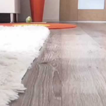 All the hard work and commitment for an Olympic athlete