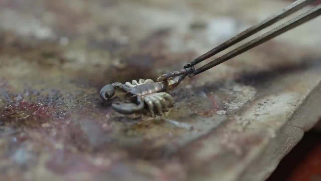 How to make a scorpion ring - how custom rings are made