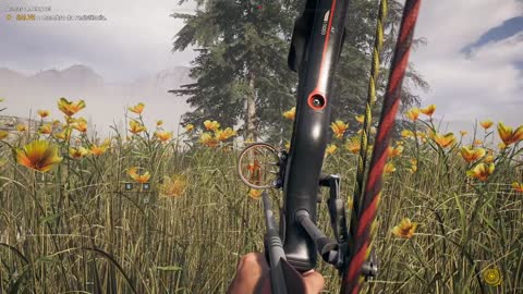 far cry 5