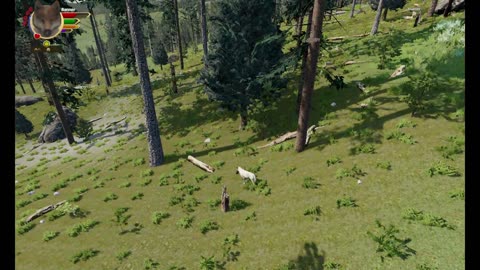 Wolfquest Ultra Iron Wolf Challenge- 09