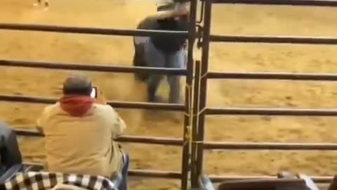 Flying with Bulls