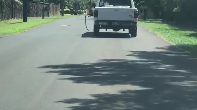 Car Takes Gas Pump for a Drive