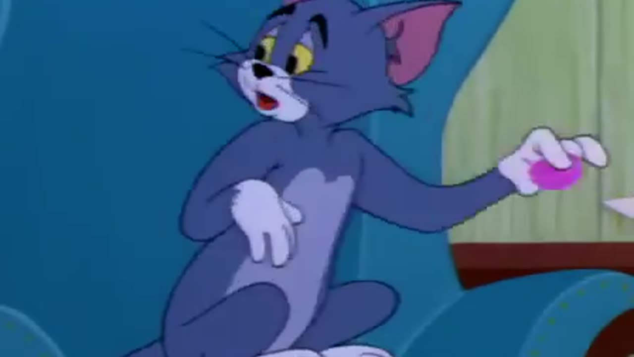 Tom and Jerry - Timid Tabby