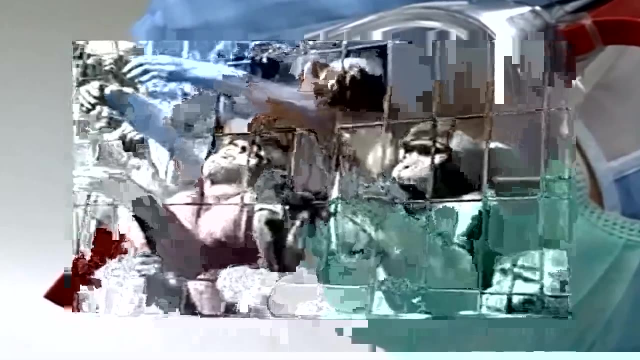 VACCINES ARE POISON HERES P^ROOF