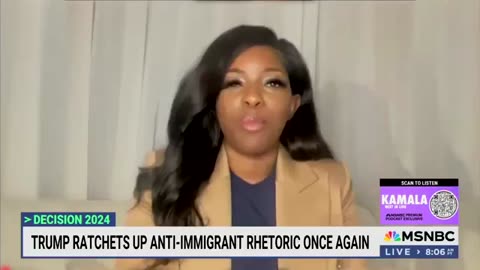 Dem Rep on MSNBC: MAGA Gangs, White Supremacists Are Taking Over, Not Illegals