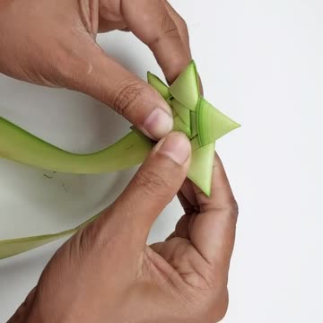 Coconut leaf star-Creative crafts with real leaves #craft #shorts #reels #coconutleaf