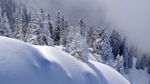 Snowy winter landscape
