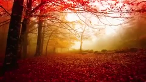 Time with God - June 6