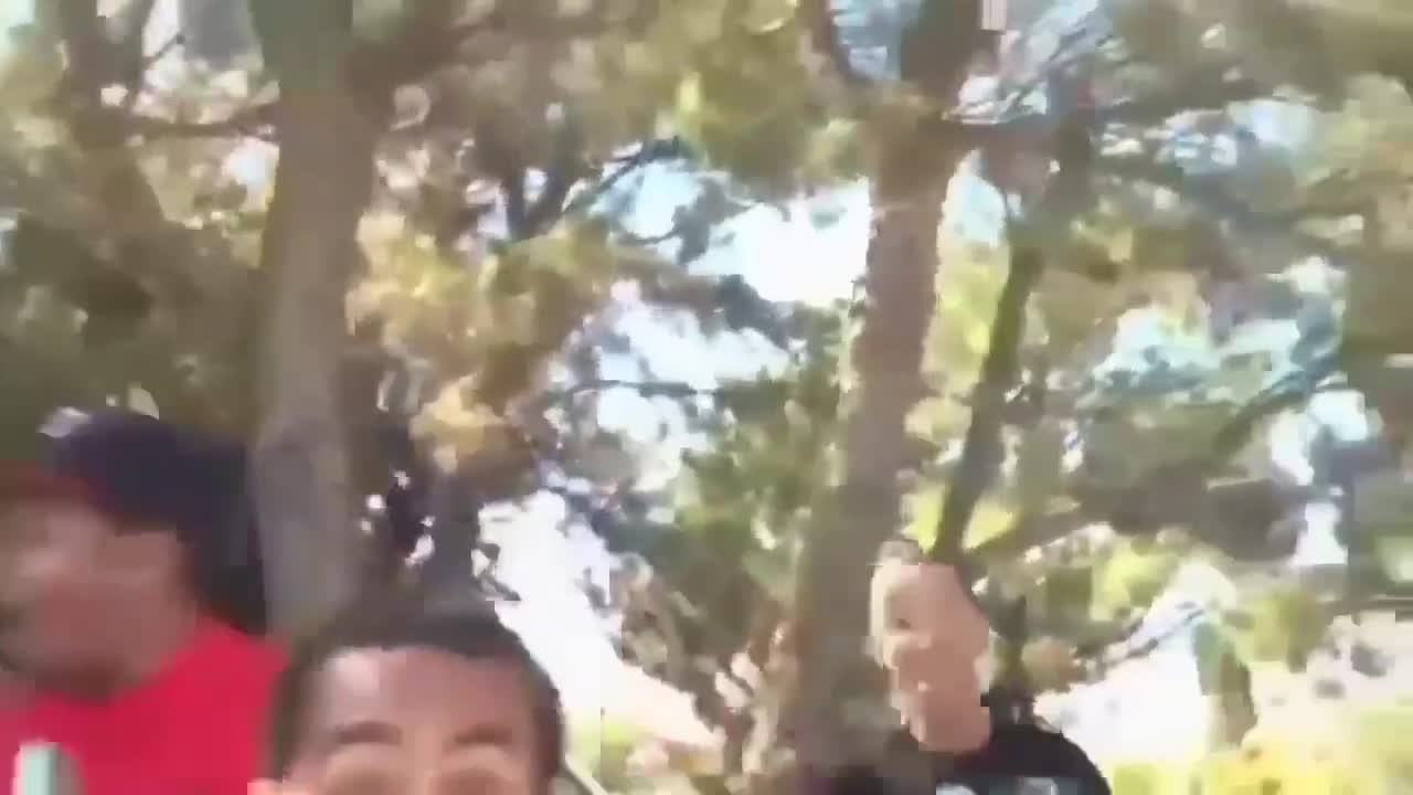 Top 5 Krazzy Funny Memes