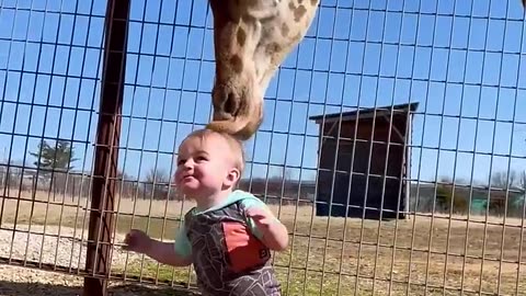 Animal funny video with kids😘