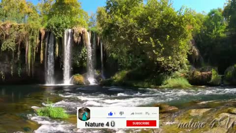 beautiful nature and flowers video with relaxing music Part 3