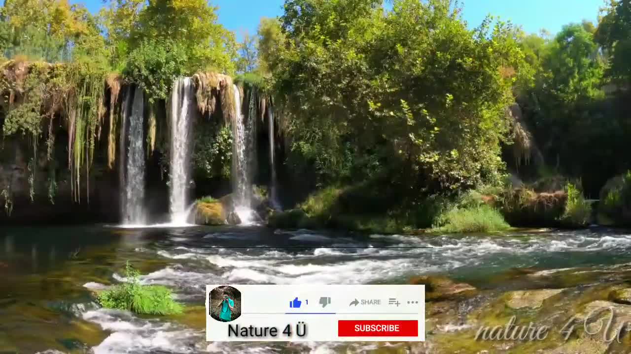 beautiful nature and flowers video with relaxing music Part 3