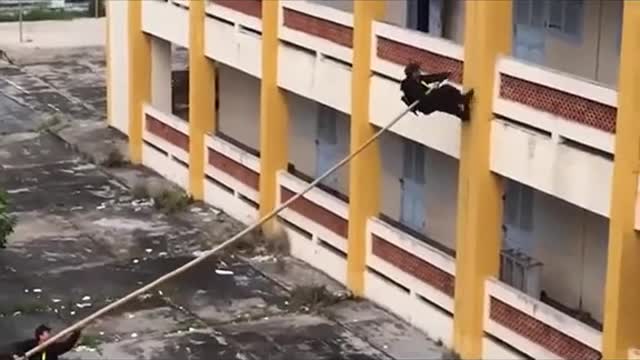 Vietnam police use bamboo tree in their training