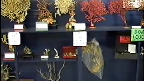 Worlds Most Mysterious Sea Creatures Museum