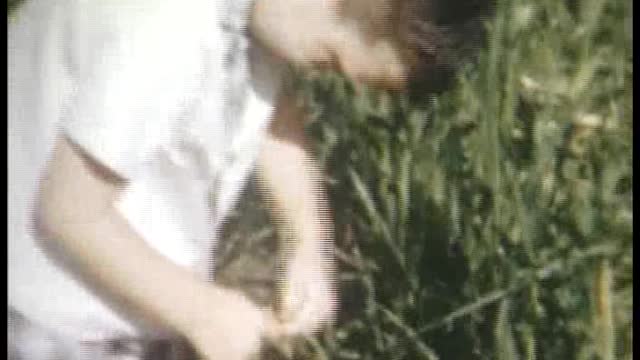 WOODDY FAMILY HOME MOVIES (NC)