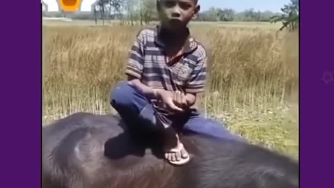 #Cute child comady