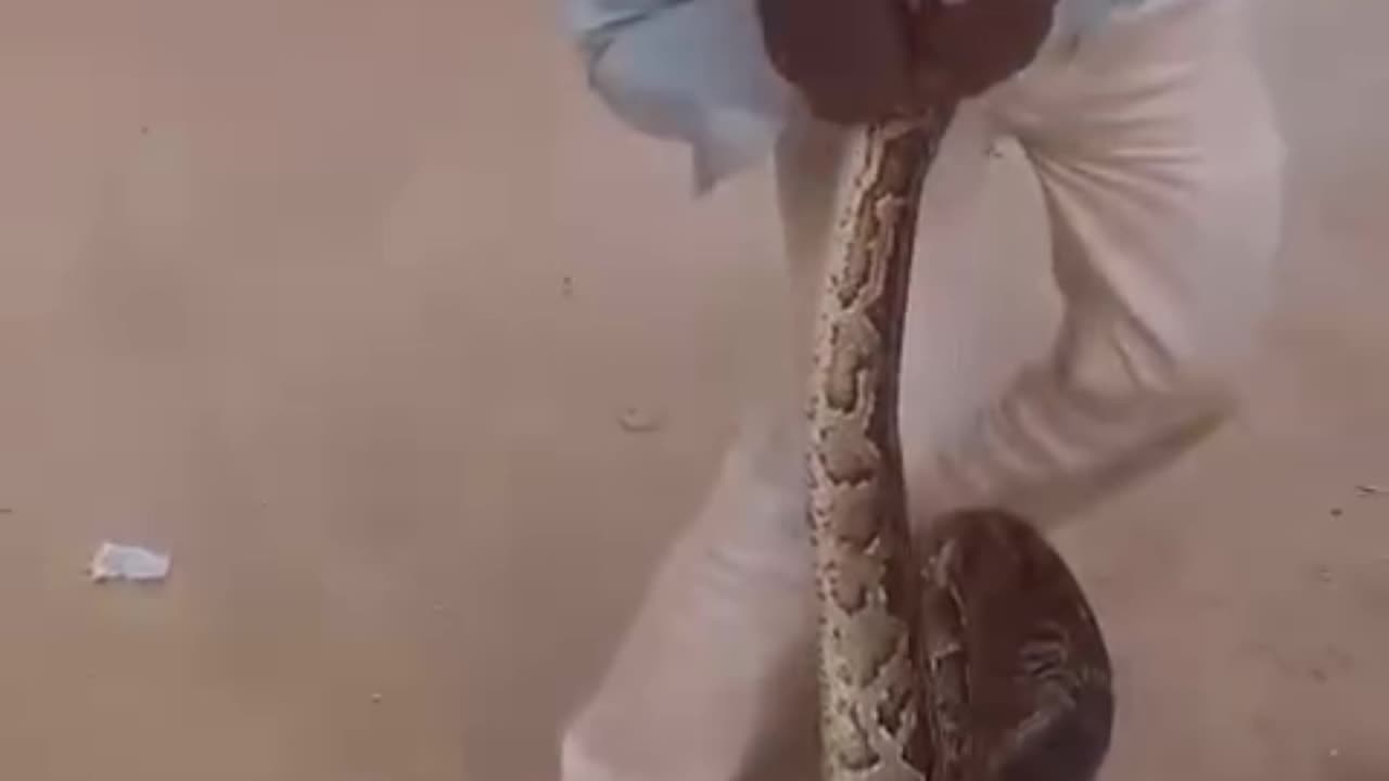 Unbelievable Footage: Python Strikes at Innocent Man