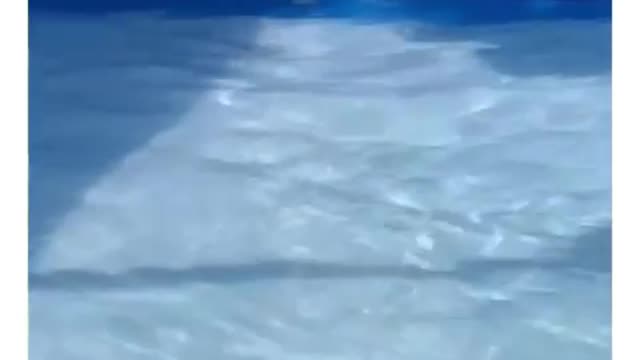 It's so funny