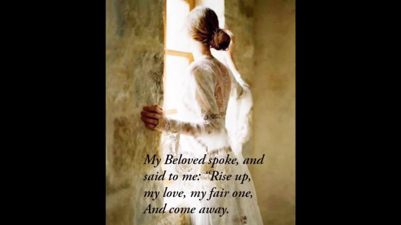 I Wait for You