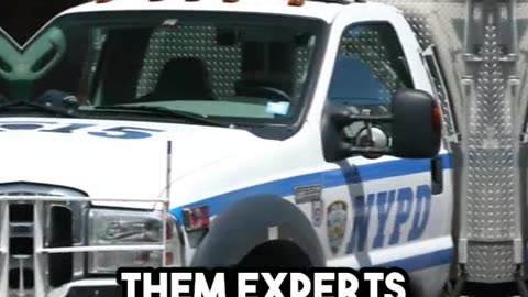 The 3 most elite police units in the U.S