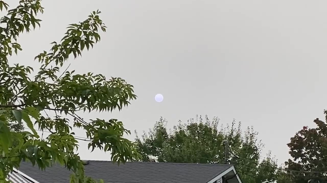 A White Dwarf Seen From Earth Or Just Our Sun