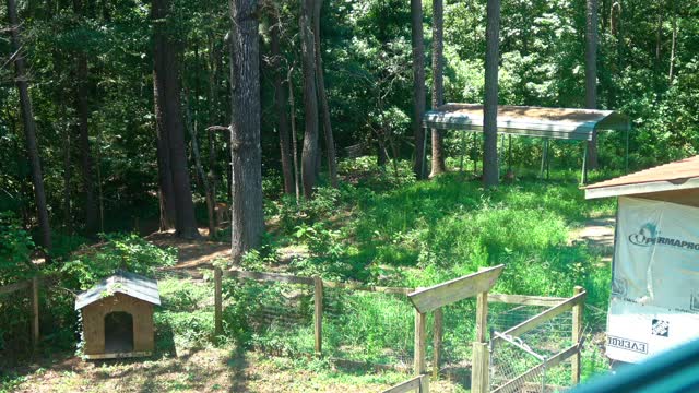 KB My Two Deer Friends