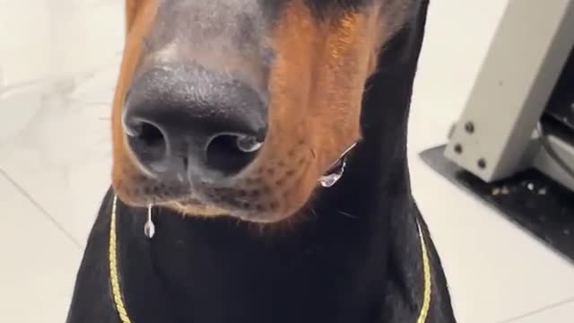 This stupid look